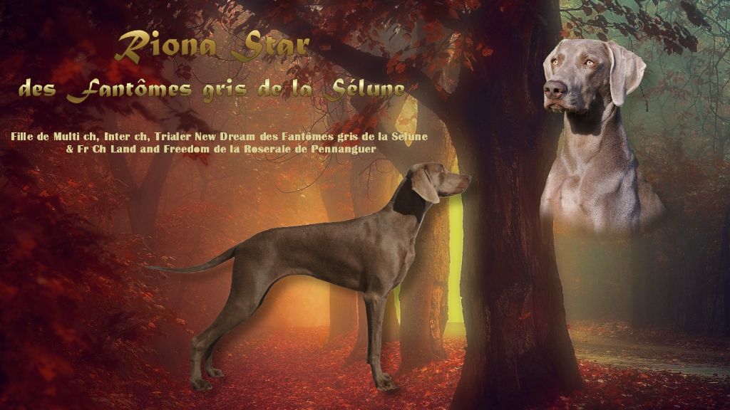 Riona star Des Fantômes Gris De La Sélune