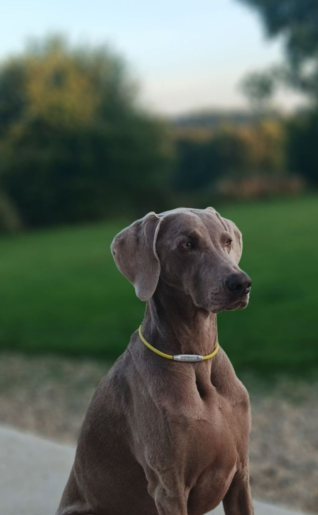 The most precious treasure Des Fantômes Gris De La Sélune