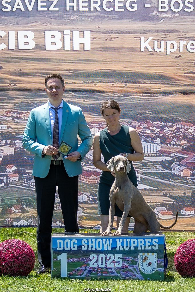 CH. Ultimate chance Des Fantômes Gris De La Sélune